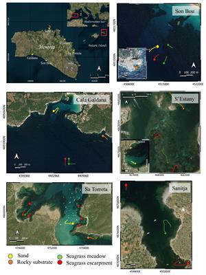Escarpments within Mediterranean seagrass Posidonia oceanica meadows increase habitat heterogeneity and structural complexity enhancing fish diversity and biomass